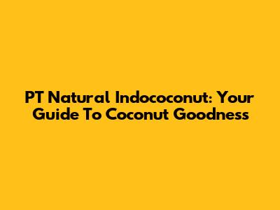 PT Natural Indococonut: Your Guide To Coconut Goodness