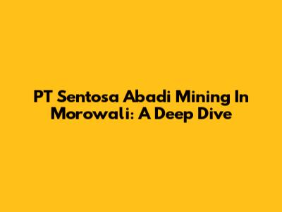 PT Sentosa Abadi Mining In Morowali: A Deep Dive