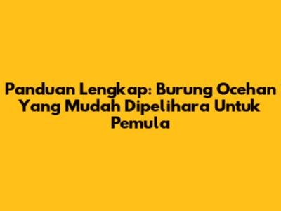 Panduan Lengkap: Burung Ocehan Yang Mudah Dipelihara Untuk Pemula