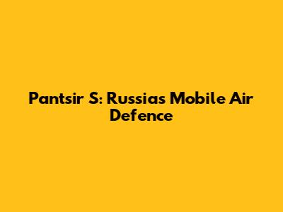 Pantsir S: Russia's Mobile Air Defence