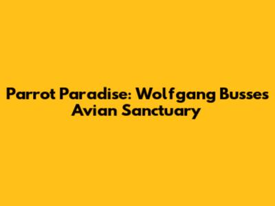 Parrot Paradise: Wolfgang Busse's Avian Sanctuary