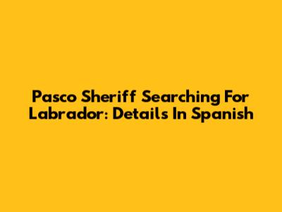 Pasco Sheriff Searching For Labrador: Details In Spanish