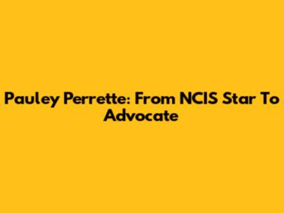 Pauley Perrette: From NCIS Star To Advocate