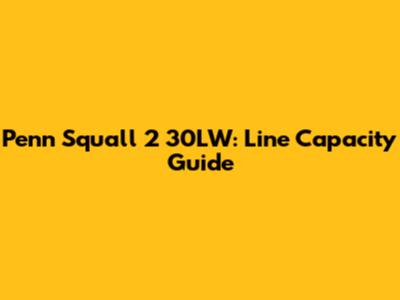 Penn Squall 2 30LW: Line Capacity Guide