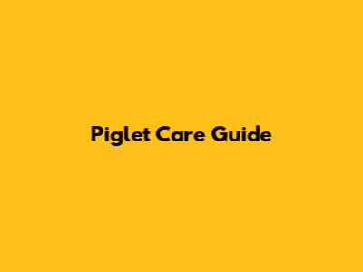 Piglet Care Guide