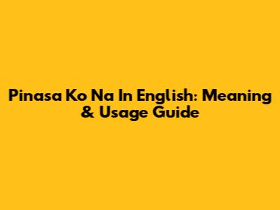 Pinasa Ko Na In English: Meaning & Usage Guide