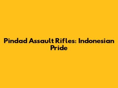 Pindad Assault Rifles: Indonesian Pride