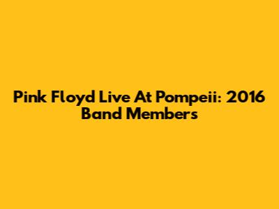 Pink Floyd Live At Pompeii: 2016 Band Members