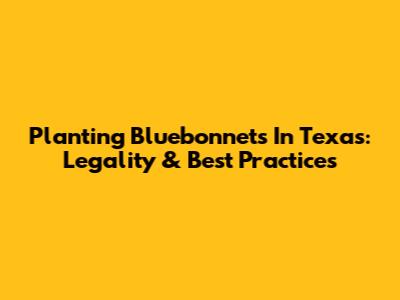 Planting Bluebonnets In Texas: Legality & Best Practices