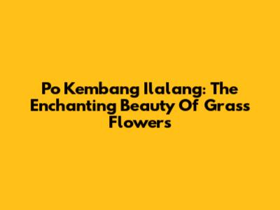 Po Kembang Ilalang: The Enchanting Beauty Of Grass Flowers