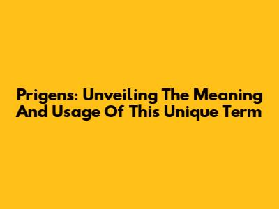 Prigens: Unveiling The Meaning And Usage Of This Unique Term