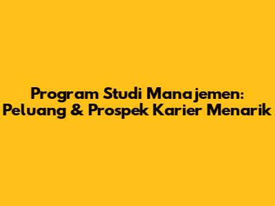 Program Studi Manajemen: Peluang & Prospek Karier Menarik