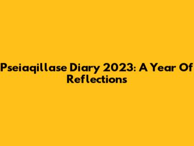 Pseiaqillase Diary 2023: A Year Of Reflections