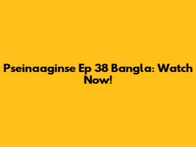 Pseinaaginse Ep 38 Bangla: Watch Now!