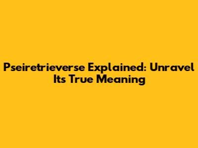 Pseiretrieverse Explained: Unravel Its True Meaning