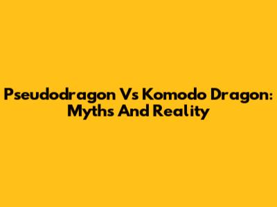 Pseudodragon Vs Komodo Dragon: Myths And Reality