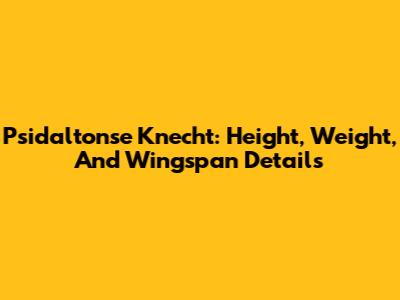 Psidaltonse Knecht: Height, Weight, And Wingspan Details