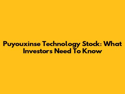 Puyouxinse Technology Stock: What Investors Need To Know