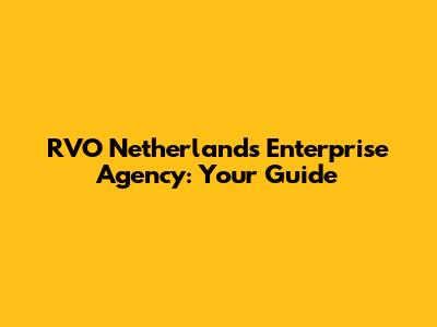 RVO Netherlands Enterprise Agency: Your Guide