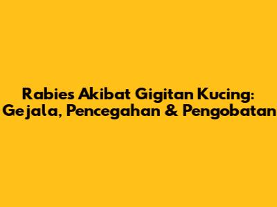 Rabies Akibat Gigitan Kucing: Gejala, Pencegahan & Pengobatan