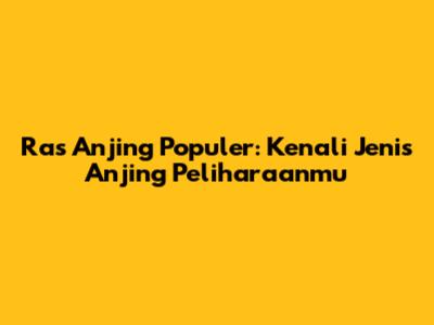 Ras Anjing Populer: Kenali Jenis Anjing Peliharaanmu