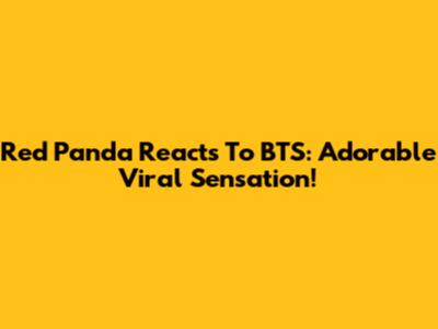 Red Panda Reacts To BTS: Adorable Viral Sensation!