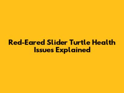 Red-Eared Slider Turtle Health Issues Explained