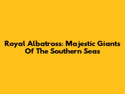 Royal Albatross: Majestic Giants Of The Southern Seas
