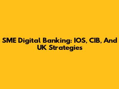 SME Digital Banking: IOS, CIB, And UK Strategies