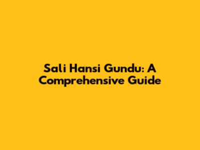 Sali Hansi Gundu: A Comprehensive Guide