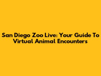 San Diego Zoo Live: Your Guide To Virtual Animal Encounters