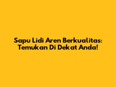 Sapu Lidi Aren Berkualitas: Temukan Di Dekat Anda!