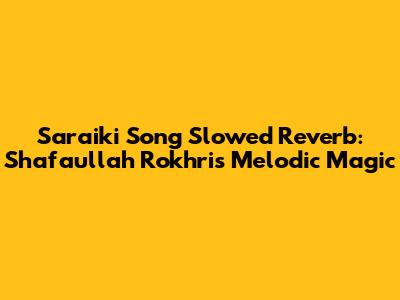 Saraiki Song Slowed Reverb: Shafaullah Rokhri's Melodic Magic