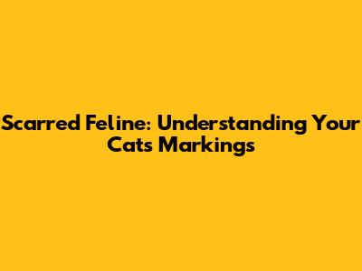 Scarred Feline: Understanding Your Cat's Markings
