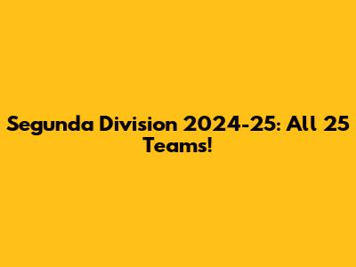 Segunda Division 2024-25: All 25 Teams!