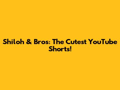 Shiloh & Bros: The Cutest YouTube Shorts!
