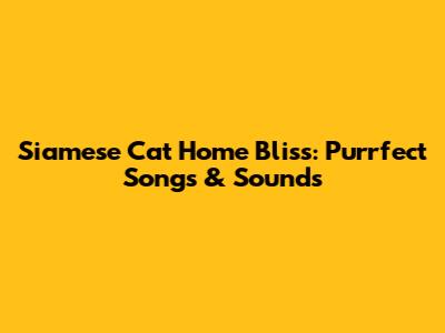 Siamese Cat Home Bliss: Purrfect Songs & Sounds
