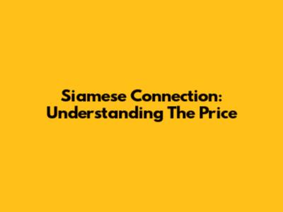 Siamese Connection: Understanding The Price