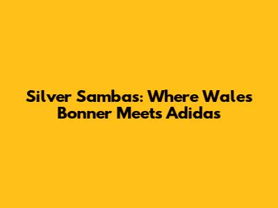 Silver Sambas: Where Wales Bonner Meets Adidas