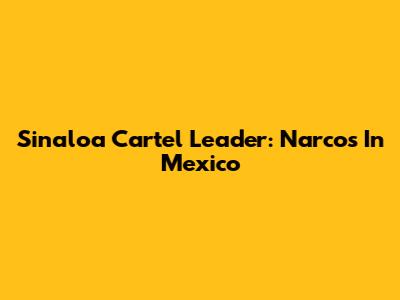 Sinaloa Cartel Leader: Narcos In Mexico