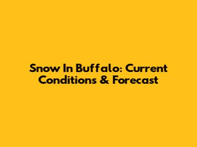 Snow In Buffalo: Current Conditions & Forecast