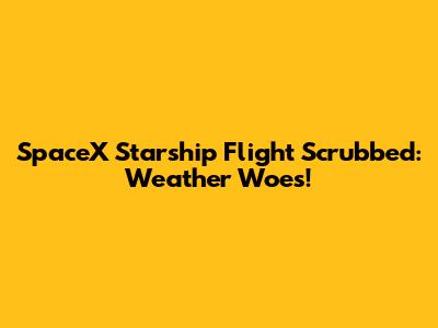 SpaceX Starship Flight Scrubbed: Weather Woes!