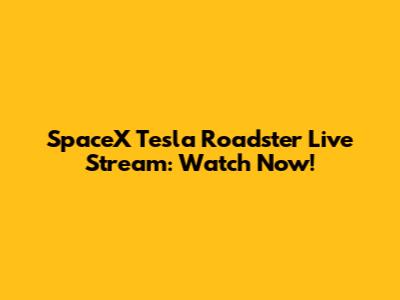 SpaceX Tesla Roadster Live Stream: Watch Now!