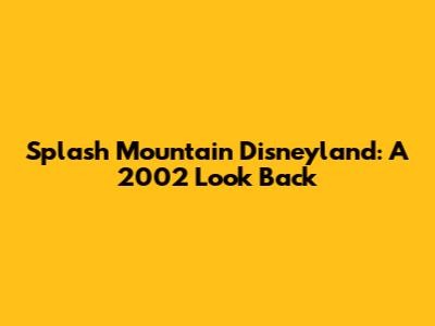 Splash Mountain Disneyland: A 2002 Look Back