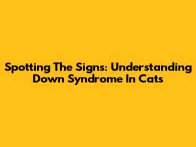 Spotting The Signs: Understanding Down Syndrome In Cats