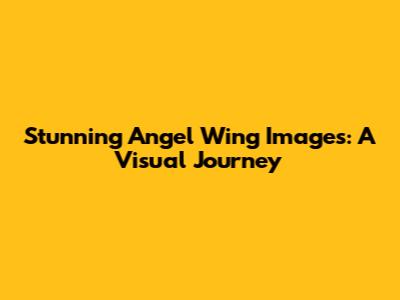 Stunning Angel Wing Images: A Visual Journey