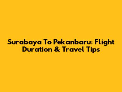Surabaya To Pekanbaru: Flight Duration & Travel Tips