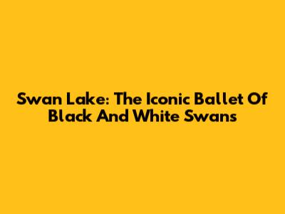 Swan Lake: The Iconic Ballet Of Black And White Swans