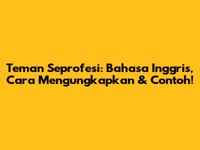 Teman Seprofesi: Bahasa Inggris, Cara Mengungkapkan & Contoh!