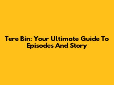 Tere Bin: Your Ultimate Guide To Episodes And Story